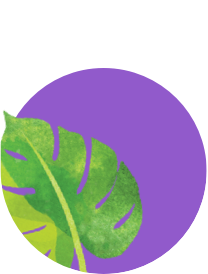 Body products Icon